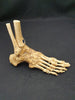 real human articulated foot for sale
