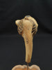 Auzoux Paris real human articulated elbow