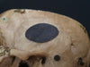 Antique Adam Rouilly real human demonstration skull in original box.