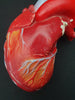 Vintage large plaster anatomical model heart