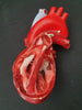 Vintage large plaster anatomical model heart