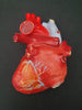 Vintage large plaster anatomical model heart