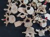 real human vertebrae for sale