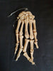 Real human hand bones for sale