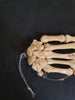 Real human hand bones for sale
