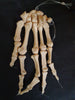 Real human hand bones for sale