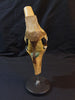 Vintage Auzoux Paris real human bone articulated knee medical model
