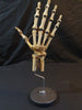 Vintage Auzoux Paris real human bone articulated hand medical model