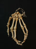 Real human hand bones for sale
