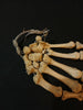 Real human hand bones for sale