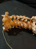 Antique, medically prepared vertebral column / spine and sacrum