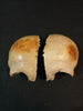 Antique real human frontal bone for sale 