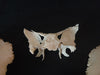 human disarticulated skull bones for sale