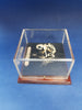 Vintage articulated frog skeleton for sale school project 1952