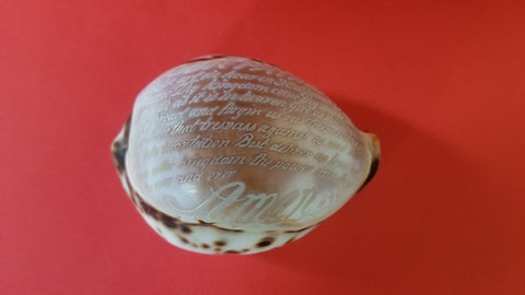 Antique carved cowrie shell, The Lords Prayer.