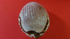 Antique carved cowrie shell for sale