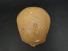 Russian model human skull for sale