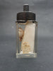 Victorian medical wet specimen preserved half human eye