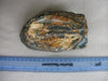 Fossilised partial Mammoth tooth
