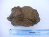Large piece of petrified / fossilised palm wood