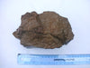 Large piece of petrified / fossilised palm wood