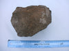 Large piece of petrified / fossilised palm wood