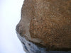 Large piece of petrified / fossilised palm wood