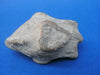 Very unusual Egyptian face oil lamp