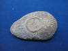 Ancient Roman terracotta oil lamp