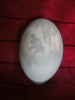 antique Australian aboriginal carved emu egg