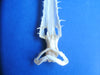 Sawshark (Pristiophorus species) skull