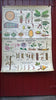 Vintage school double sided biology poster Plants without flowers, fungi, the oak and vegetative reproduction.