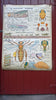 Vintage school double sided biology poster The grasshopper, the bee, the insects and the insectivores